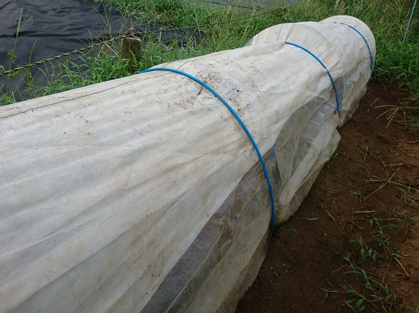 f:id:tomo-saien:20210403200408j:plain