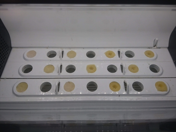 f:id:tomo-saien:20210411200550j:plain