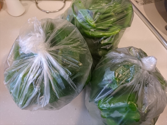 f:id:tomo-saien:20210603044000j:plain