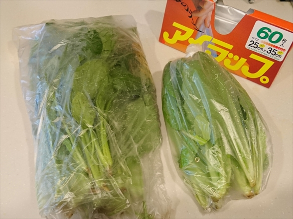 f:id:tomo-saien:20210603044004j:plain