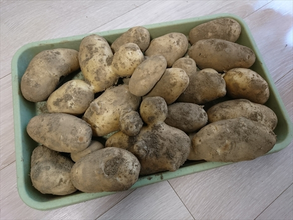 f:id:tomo-saien:20210604051249j:plain