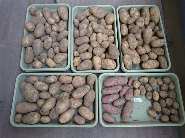 f:id:tomo-saien:20210604051258j:plain