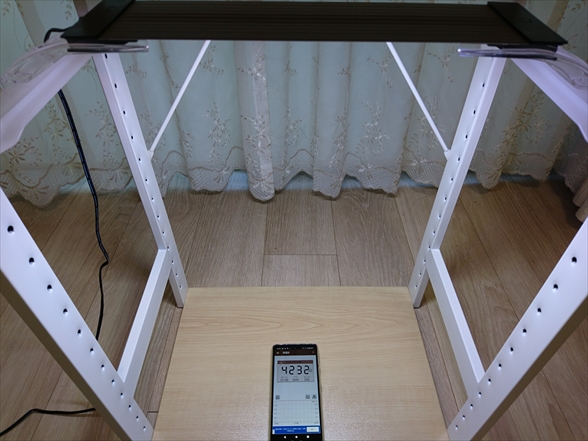 f:id:tomo-saien:20220104150717j:plain