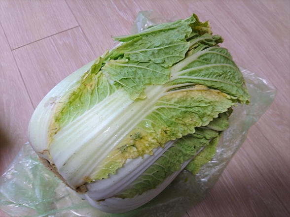 f:id:tomo-saien:20220115170556j:plain