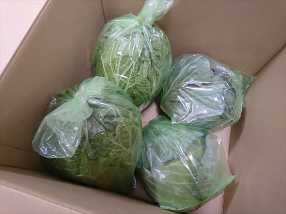 f:id:tomo-saien:20220115170609j:plain