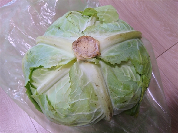 f:id:tomo-saien:20220115170619j:plain