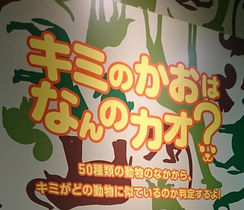 f:id:tomo-sankaku:20181107014127j:plain:w200 f:id:tomo-sankaku:20181107014127j:plain:w200