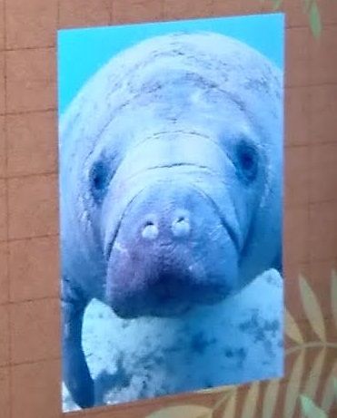 f:id:tomo-sankaku:20181107014147j:plain:w150 f:id:tomo-sankaku:20181107014147j:plain:w150