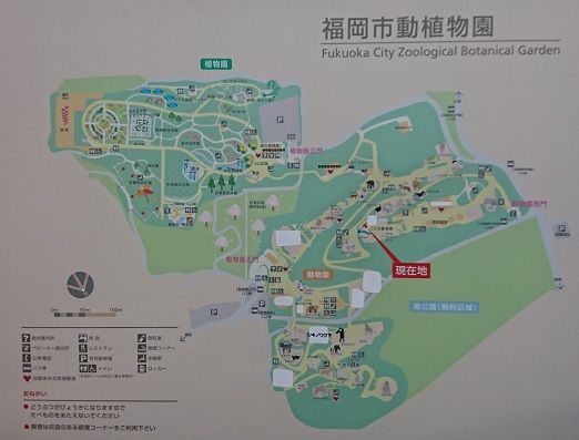 f:id:tomo-sankaku:20190105013404j:plain