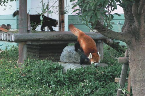 f:id:tomo-sankaku:20190106210202j:plain