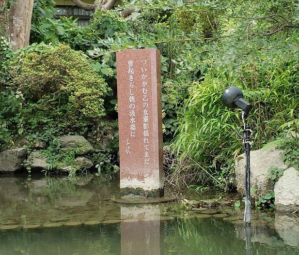 f:id:tomo-sankaku:20190822181438j:plain:w300 f:id:tomo-sankaku:20190822181438j:plain:w300