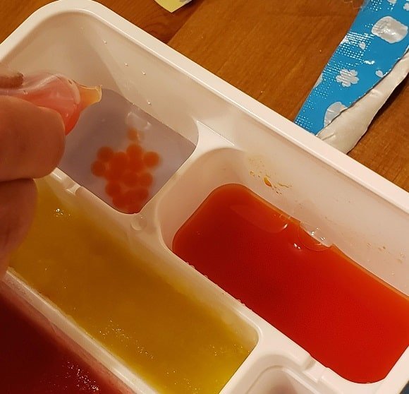 f:id:tomo-sankaku:20210109183014j:plain:w300