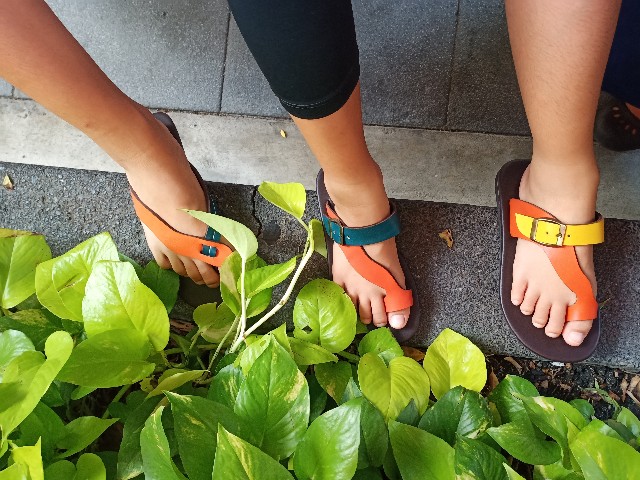 f:id:tomo-snowy:20191014160855j:image f:id:tomo-snowy:20191014160855j:image