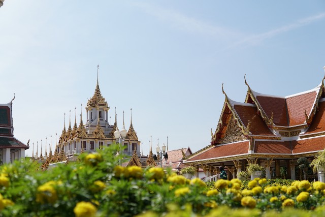 f:id:tomo-snowy:20210116122926j:image f:id:tomo-snowy:20210116122926j:image