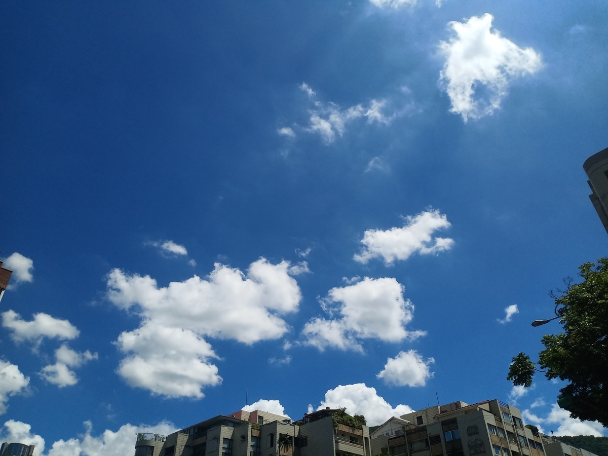 f:id:tomo-snowy:20210902120138j:plain