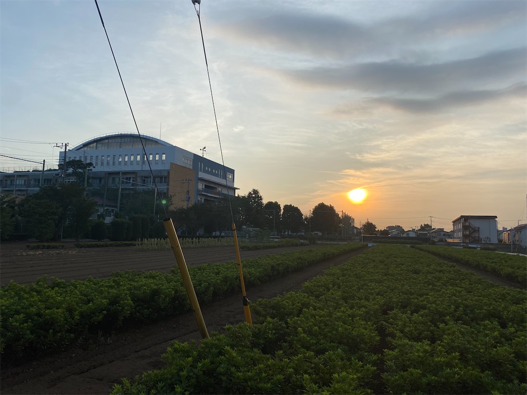 f:id:tomo0716:20210831103736j:image f:id:tomo0716:20210831103736j:image