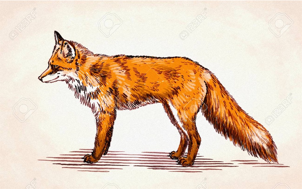 f:id:tomo0716:20231005110257j:image f:id:tomo0716:20231005110257j:image