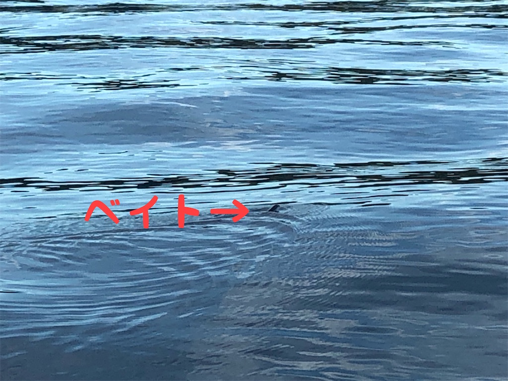 f:id:tomo1417:20190815110231j:image