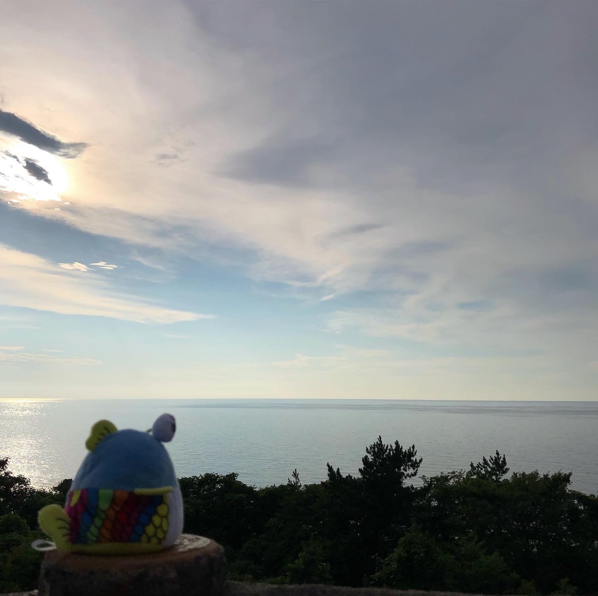 f:id:tomo16change_up:20210807133201j:plain