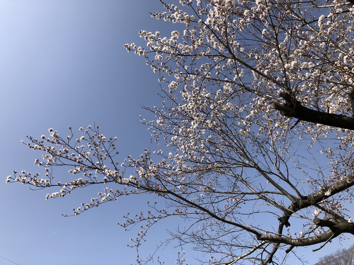 f:id:tomo1961:20210331102840j:plain