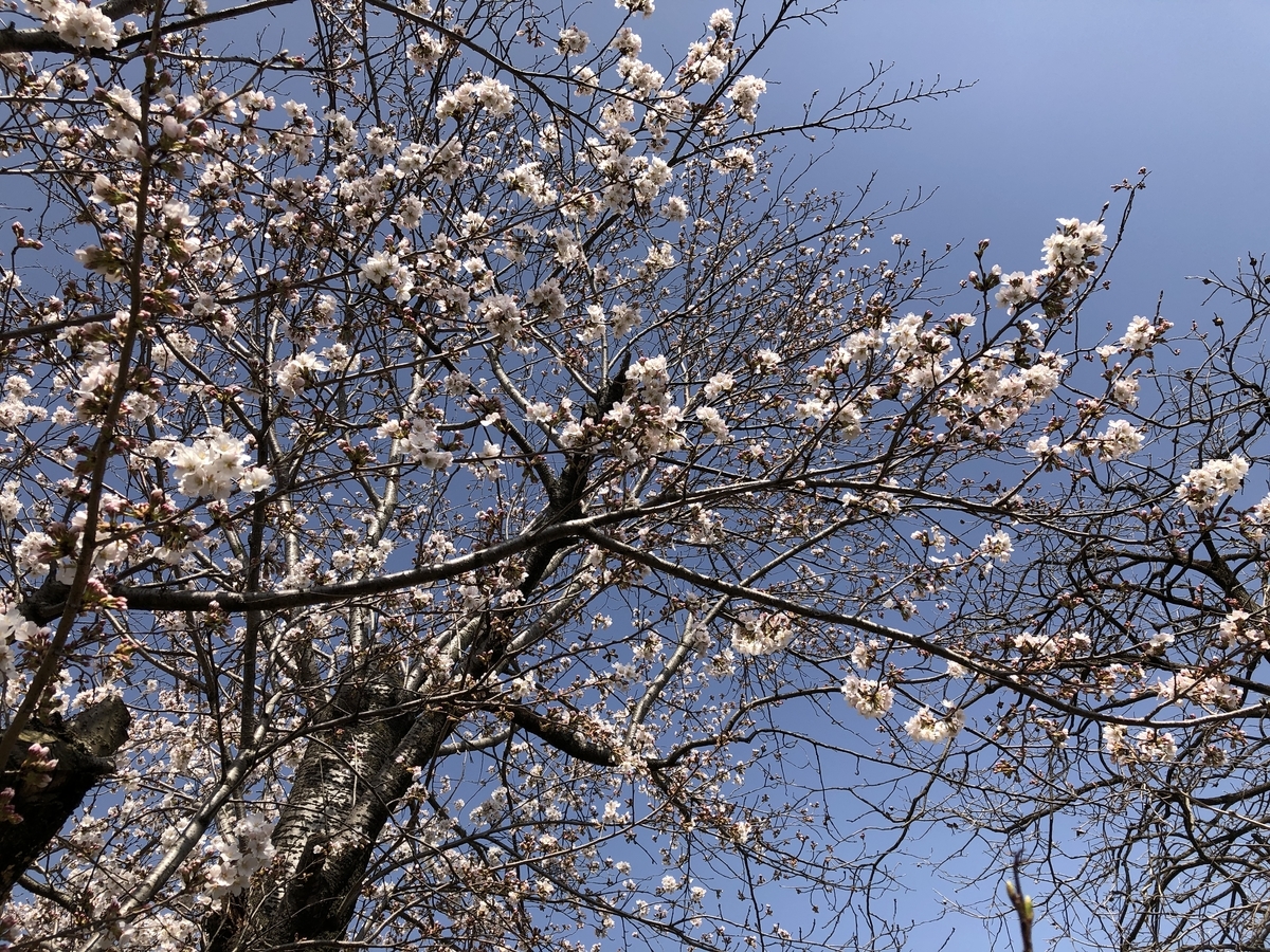 f:id:tomo1961:20210331102944j:plain