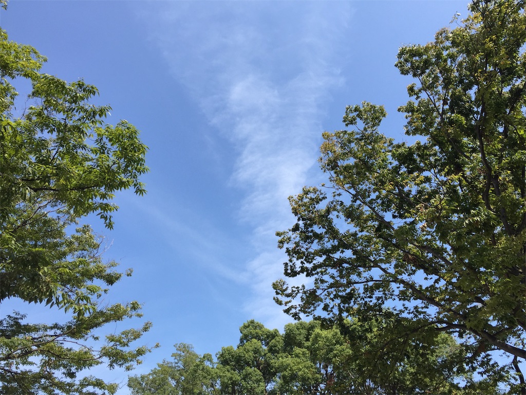 f:id:tomo2200:20191021005759j:image
