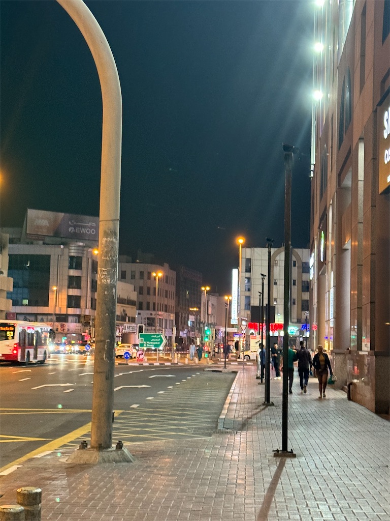 f:id:tomo31415926563:20240305140817j:image