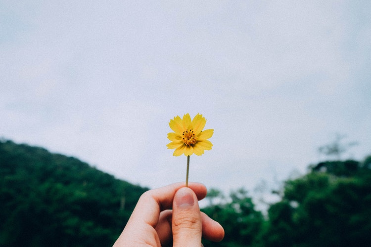 f:id:tomo456ch:20190617191907j:plain