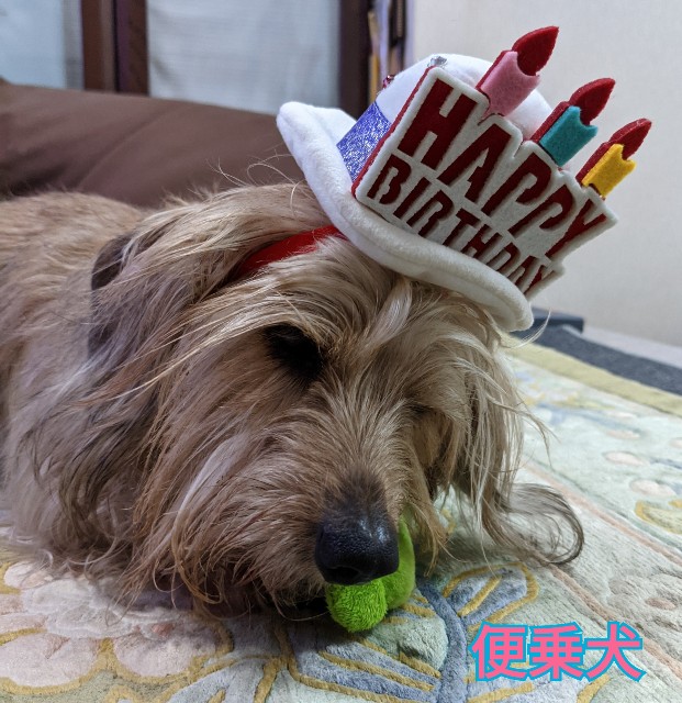 f:id:tomo456ch:20210414063444j:image f:id:tomo456ch:20210414063444j:image