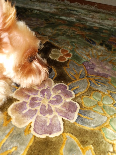 f:id:tomo456ch:20240120064615j:image