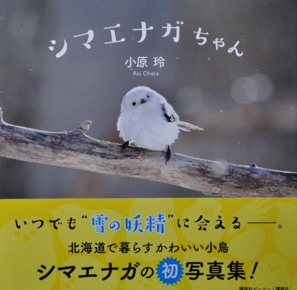 f:id:tomo508:20171007154855j:plain