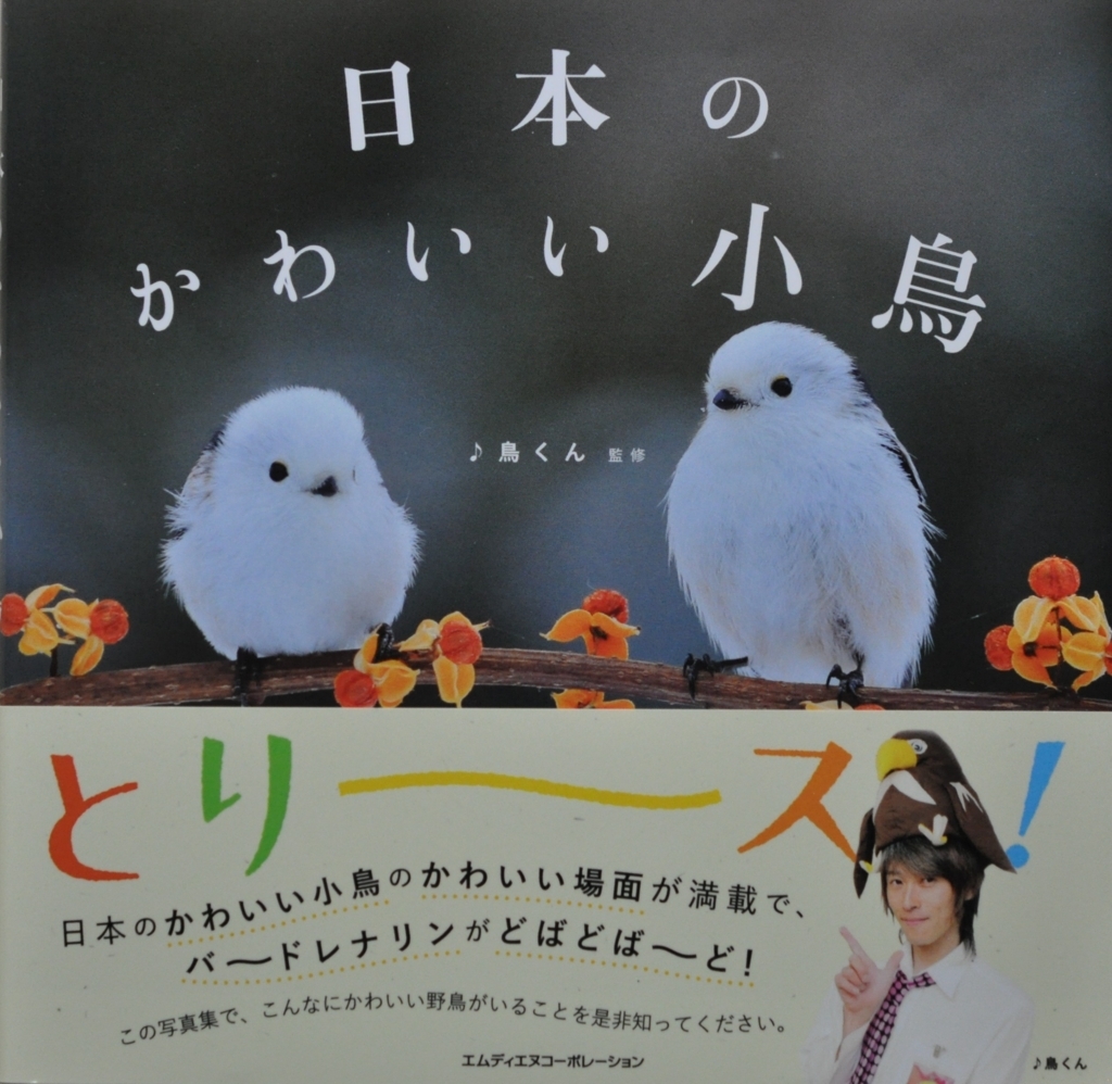 f:id:tomo508:20171007154901j:plain