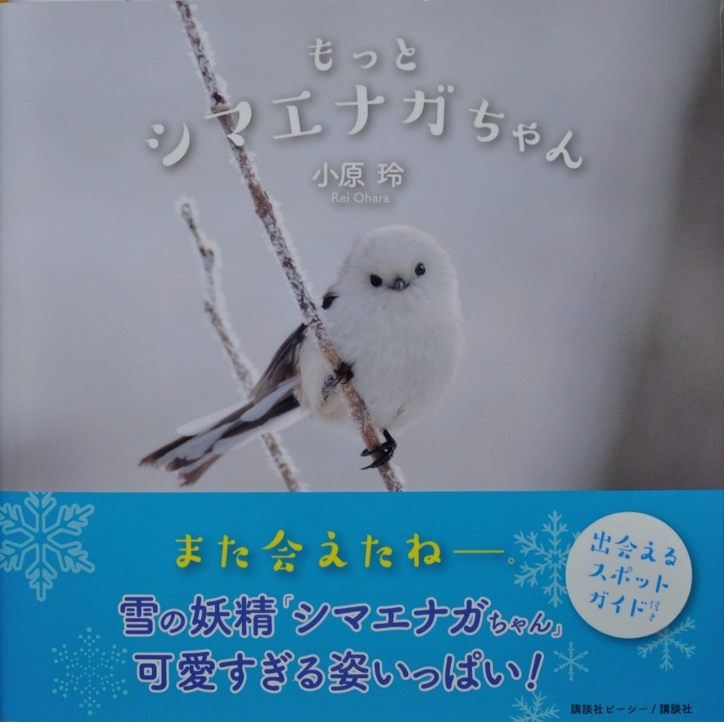 f:id:tomo508:20171101224533j:plain
