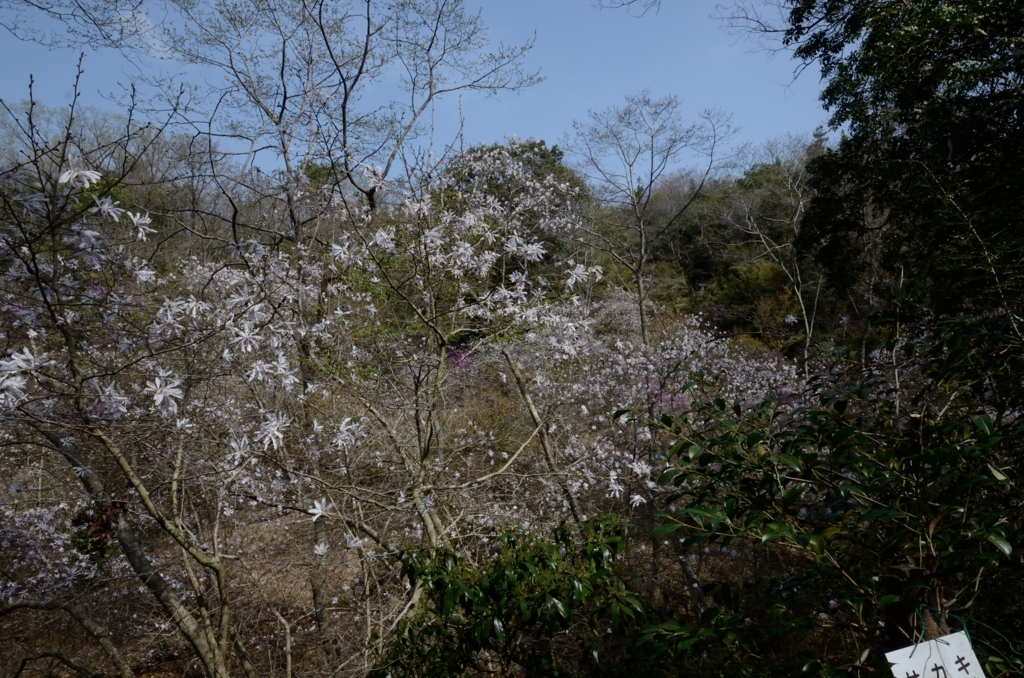 f:id:tomo508:20180401163449j:plain f:id:tomo508:20180401163449j:plain