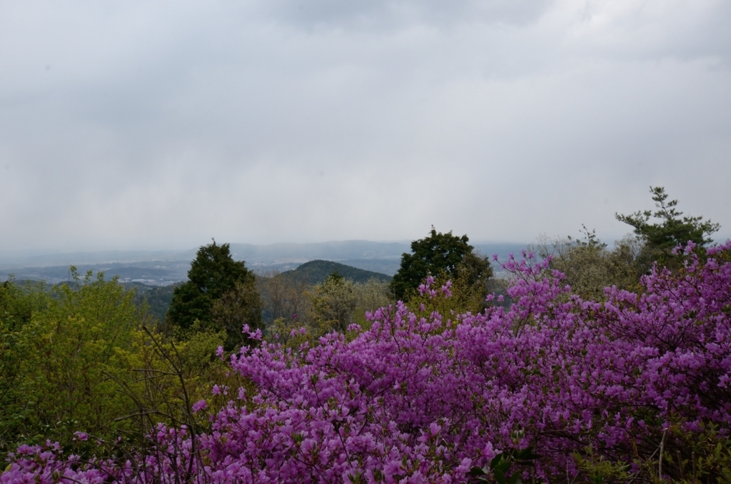 f:id:tomo508:20180408145740j:plain
