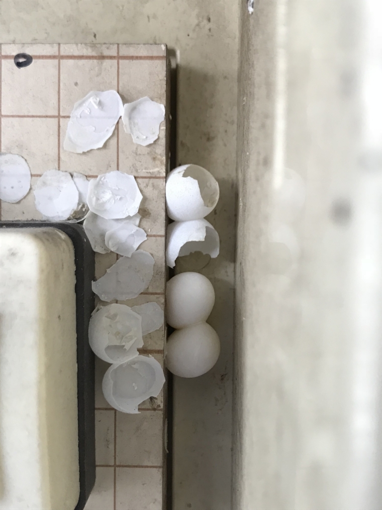 f:id:tomo508:20180602180922j:plain