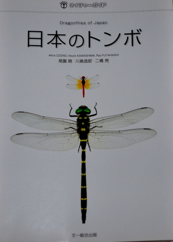 f:id:tomo508:20180722142152j:plain