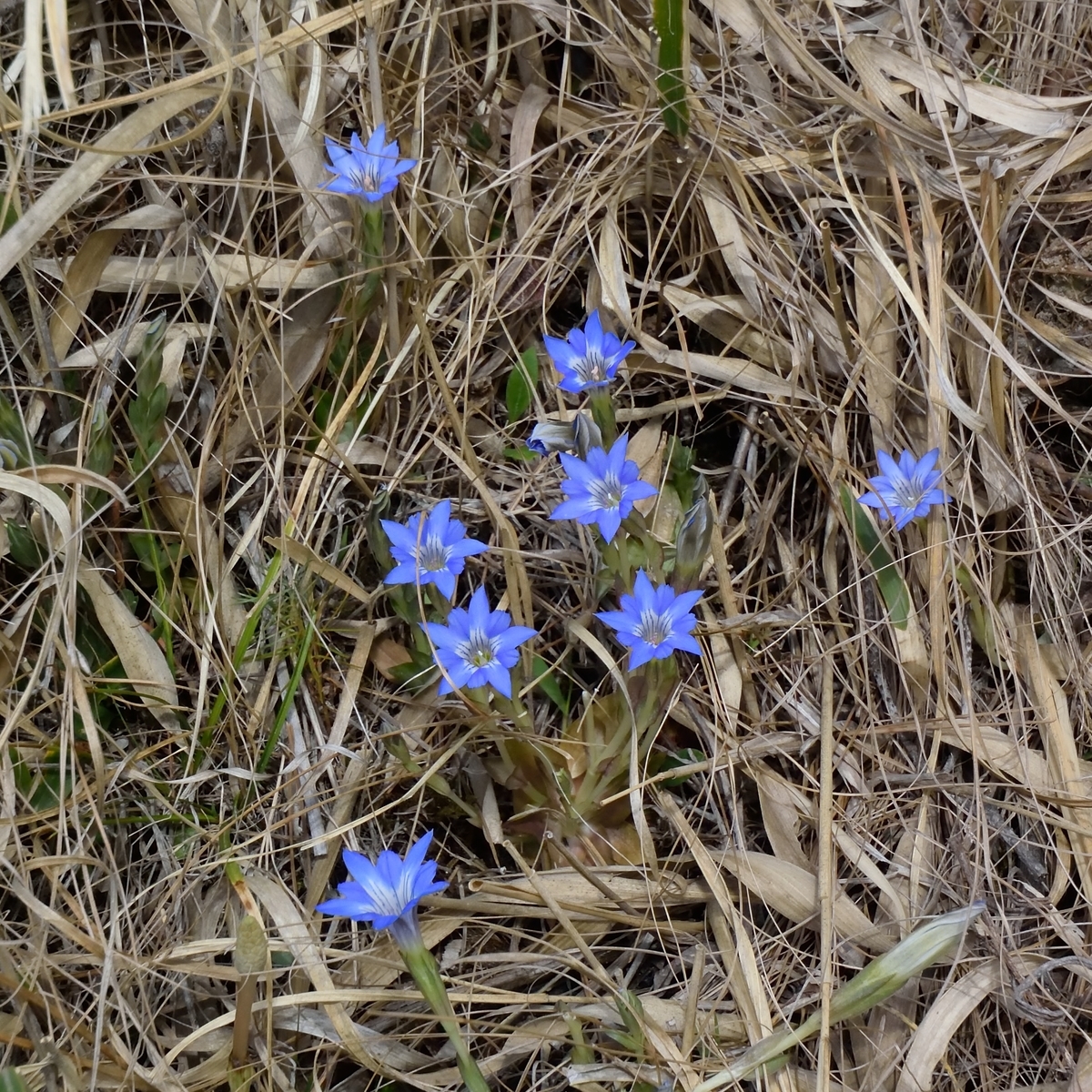f:id:tomo508:20190324164249j:plain f:id:tomo508:20190324164249j:plain