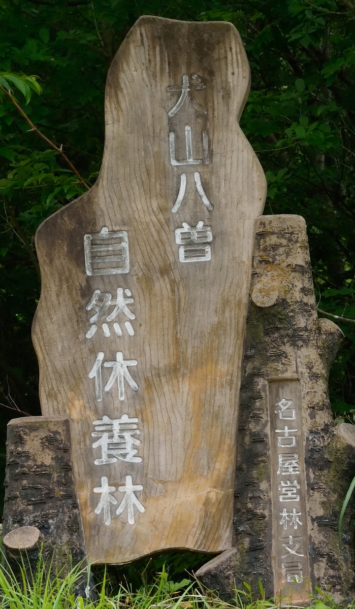 f:id:tomo508:20190622161808j:plain