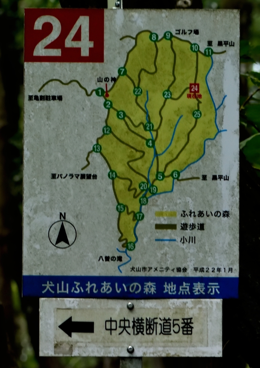 f:id:tomo508:20190825180548j:plain