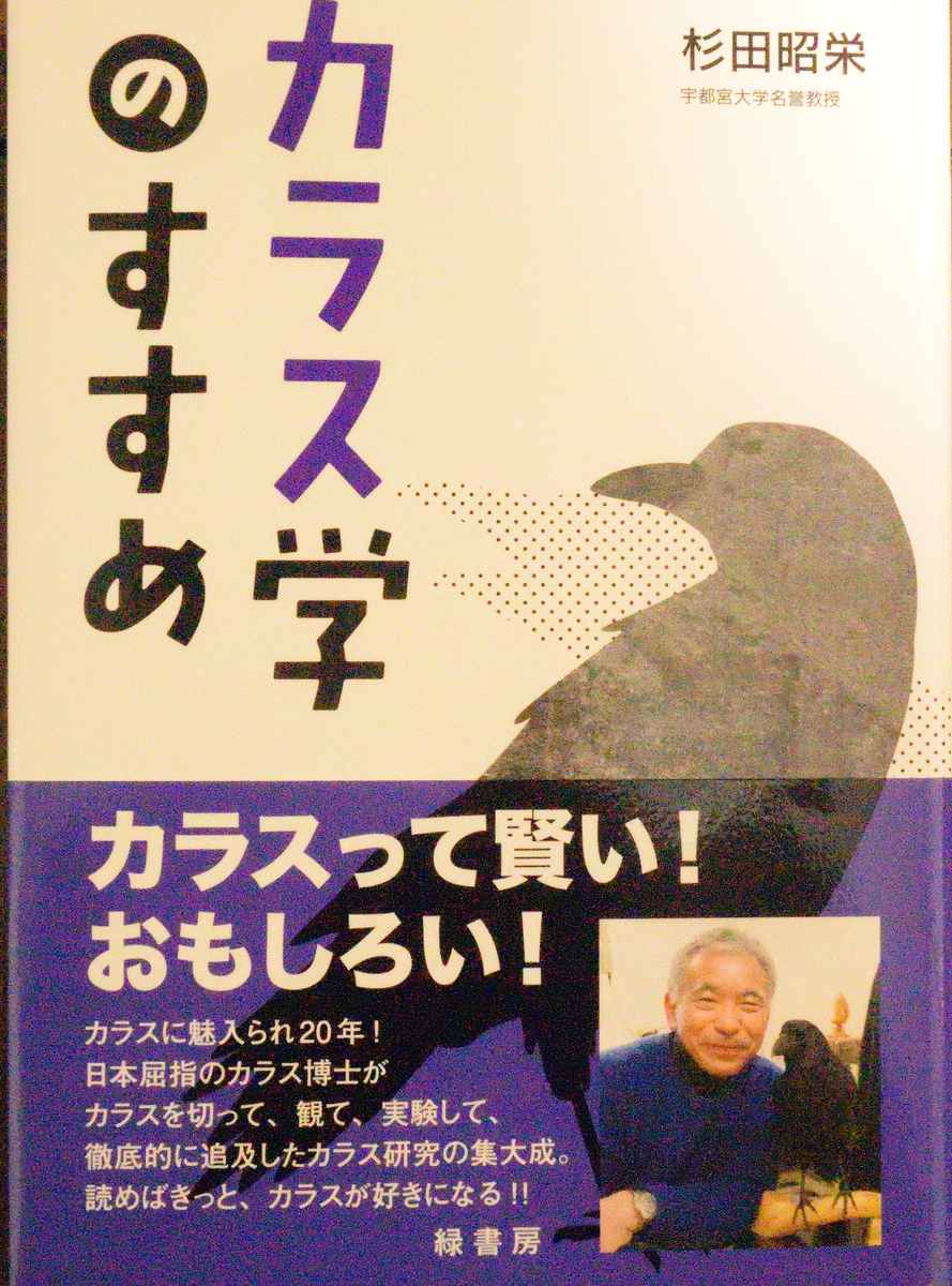 f:id:tomo508:20200209164403j:plain
