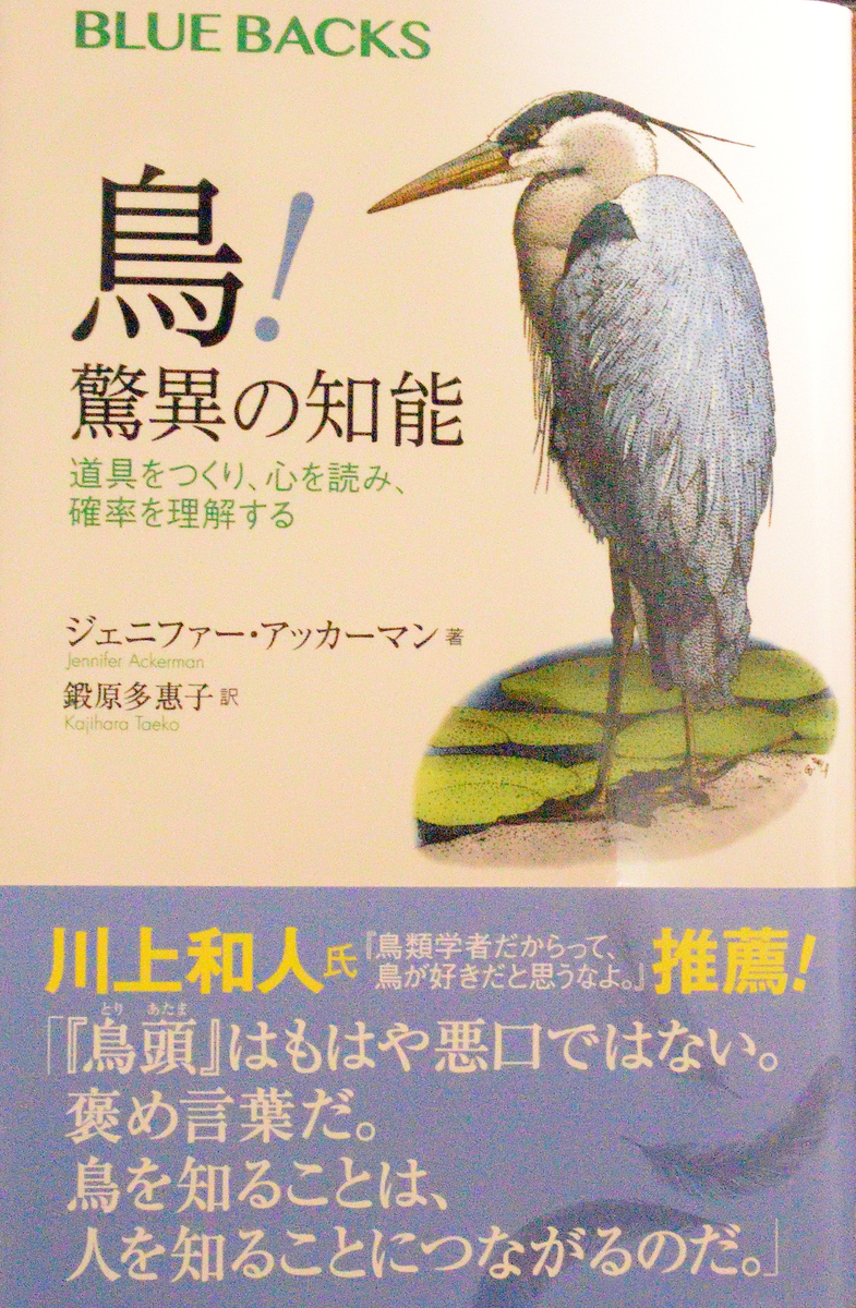 f:id:tomo508:20200209164443j:plain
