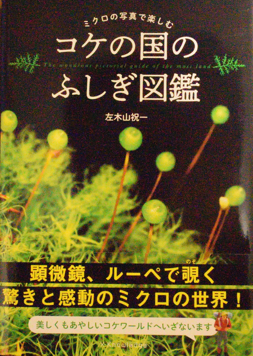 f:id:tomo508:20200209164511j:plain