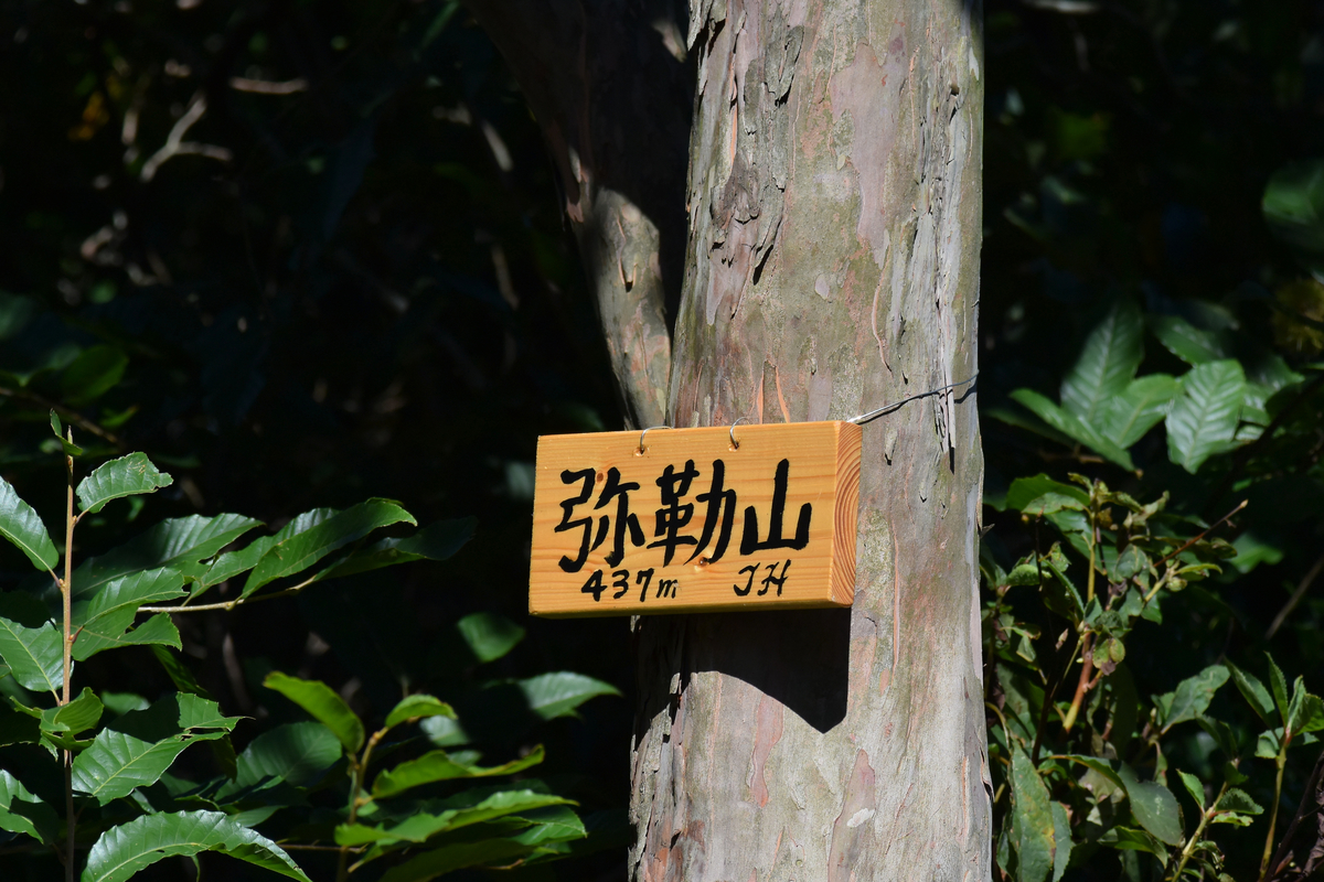 f:id:tomo508:20200928171729j:plain f:id:tomo508:20200928171729j:plain
