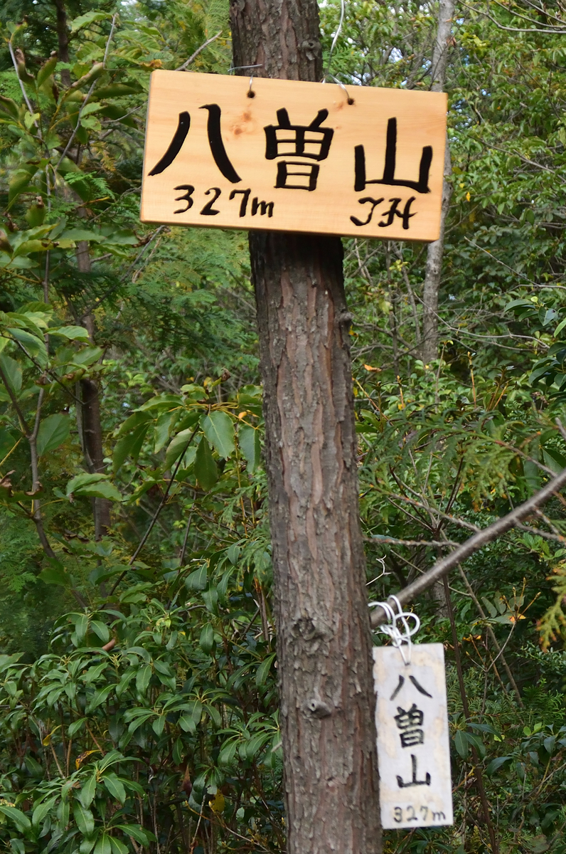 f:id:tomo508:20201024213138j:plain