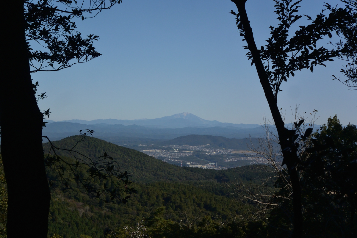f:id:tomo508:20201031162846j:plain f:id:tomo508:20201031162846j:plain