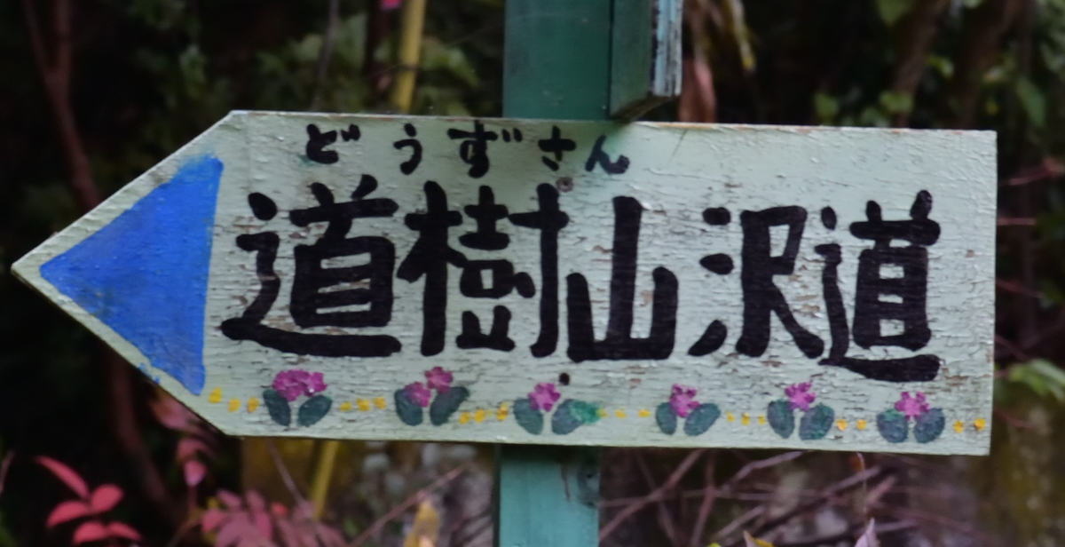 f:id:tomo508:20201108155222j:plain