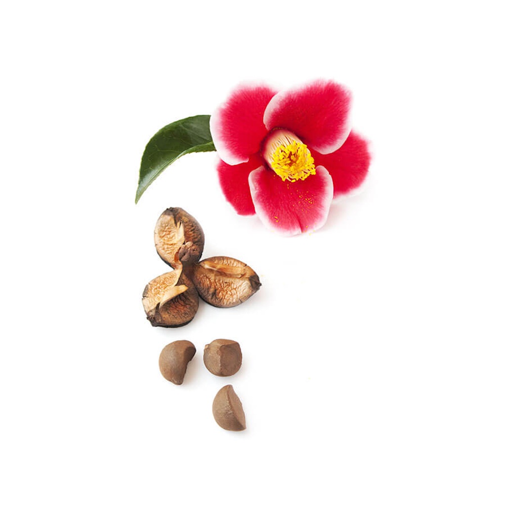f:id:tomo_i0902:20190515165948j:image f:id:tomo_i0902:20190515165948j:image