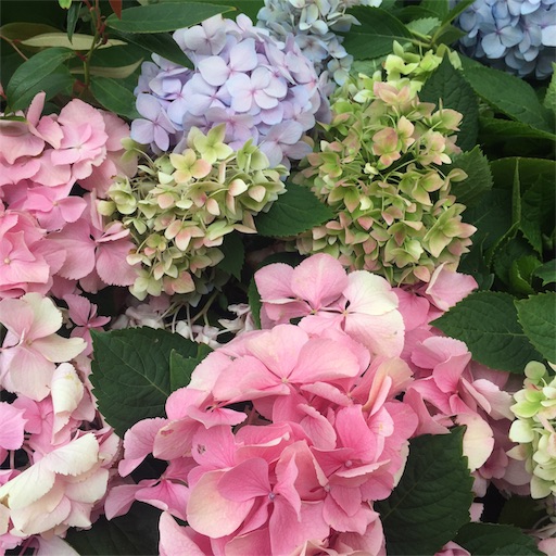f:id:tomo_om:20190610213253j:image