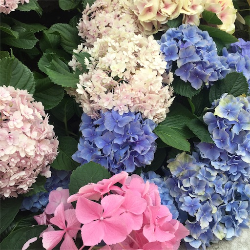 f:id:tomo_om:20190610213300j:image